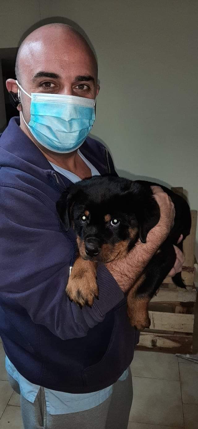 Κατ' οίκον κτηνιατρική επίσκεψη